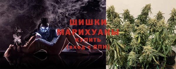 дживик Лабытнанги