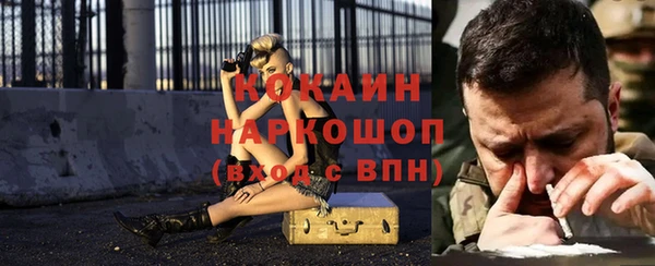 тгк Пересвет