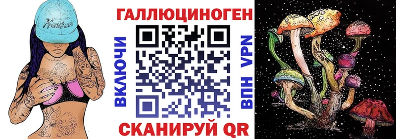наркотики  Магас  Псилоцибиновые грибы мицелий 